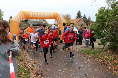 Foto des Albums: Schönower Herbstcross
