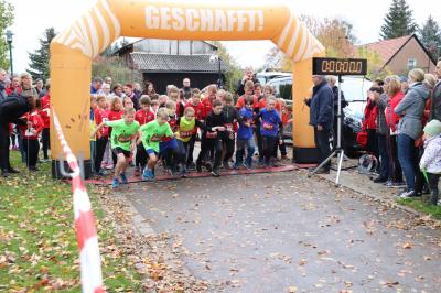 Foto des Albums: Schönower Herbstcross