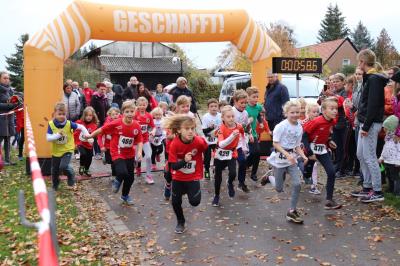 Foto des Albums: Schönower Herbstcross