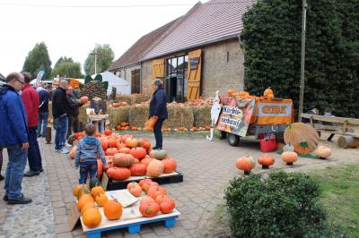 Foto des Albums: Kürbisfest am 19. und 20. Oktober im Kremmener Scheunenviertel (20. 10. 2019)