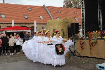 Foto des Albums: Kürbisfest am 19. und 20. Oktober im Kremmener Scheunenviertel (20. 10. 2019)