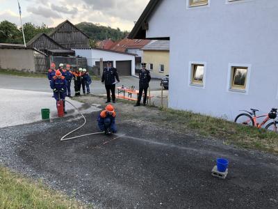 Foto des Albums: Jugendleistungsabzeichen