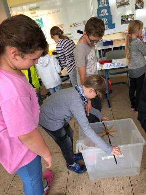 Foto des Albums: Ausbildung neuer Energiedetektive an der Grundschule An der Ill