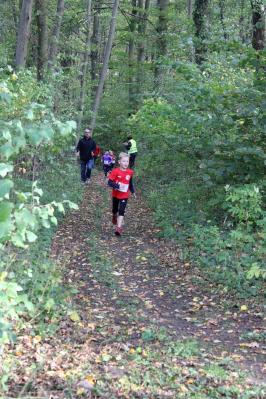 Foto des Albums: KM Cross Gerswalde