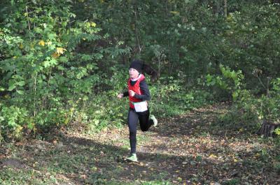 Foto des Albums: KM Cross Gerswalde