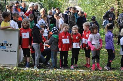 Foto des Albums: KM Cross Gerswalde