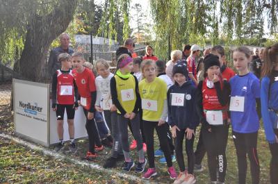Foto des Albums: KM Cross Gerswalde