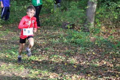 Foto des Albums: KM Cross Gerswalde