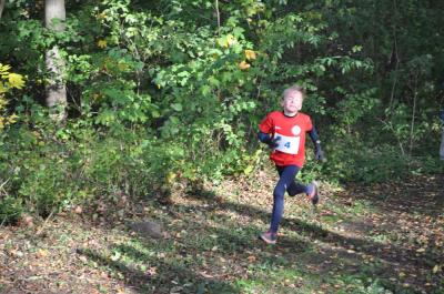 Foto des Albums: KM Cross Gerswalde