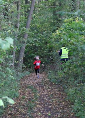 Foto des Albums: KM Cross Gerswalde