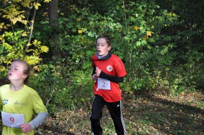 Foto des Albums: KM Cross Gerswalde