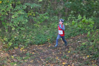 Foto des Albums: KM Cross Gerswalde