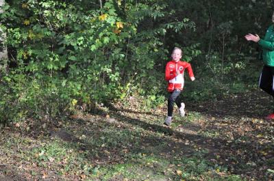 Foto des Albums: KM Cross Gerswalde