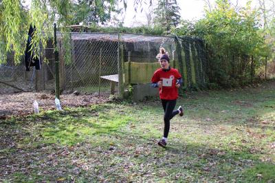 Foto des Albums: KM Cross Gerswalde