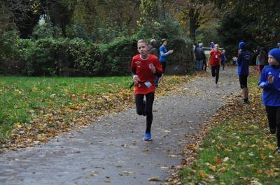 Foto des Albums: Anklamer Herbstcross