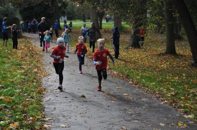 Foto des Albums: Anklamer Herbstcross