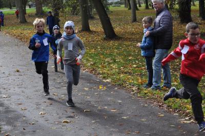 Foto des Albums: Anklamer Herbstcross