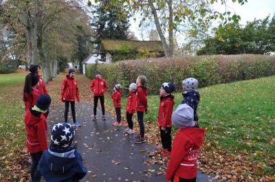 Foto des Albums: Anklamer Herbstcross