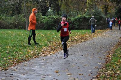 Foto des Albums: Anklamer Herbstcross