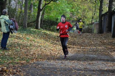 Foto des Albums: Anklamer Herbstcross