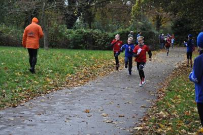 Foto des Albums: Anklamer Herbstcross