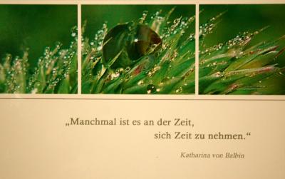 Foto des Albums: Achtsamkeit
