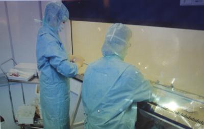 Foto des Albums: Chemotherapie