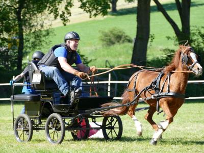 Foto des Albums: Fahrturnier Hilders 2019