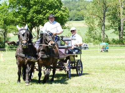 Foto des Albums: Fahrturnier Hilders 2019