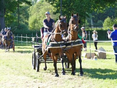 Foto des Albums: Fahrturnier Hilders 2019