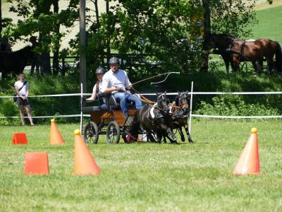 Foto des Albums: Fahrturnier Hilders 2019