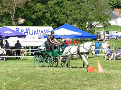 Foto des Albums: Fahrturnier Hilders 2019