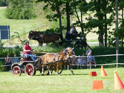 Foto des Albums: Fahrturnier Hilders 2019