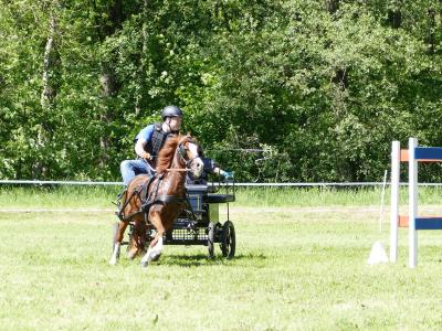 Foto des Albums: Fahrturnier Hilders 2019