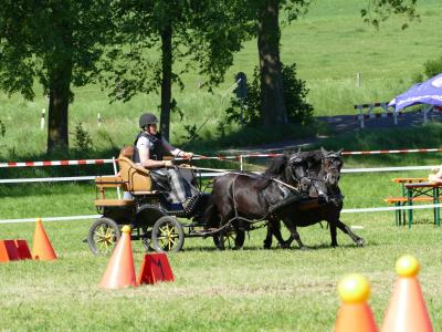 Foto des Albums: Fahrturnier Hilders 2019