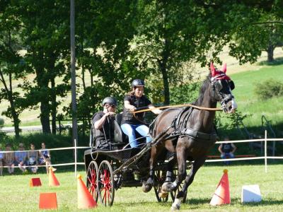 Foto des Albums: Fahrturnier Hilders 2019