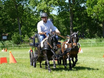 Foto des Albums: Fahrturnier Hilders 2019
