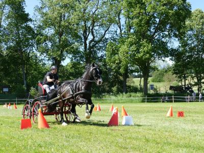 Foto des Albums: Fahrturnier Hilders 2019