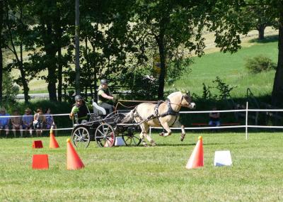Foto des Albums: Fahrturnier Hilders 2019
