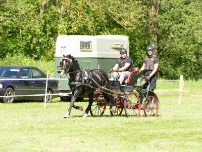 Foto des Albums: Fahrturnier Hilders 2019