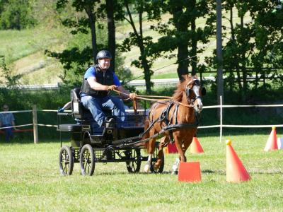 Foto des Albums: Fahrturnier Hilders 2019