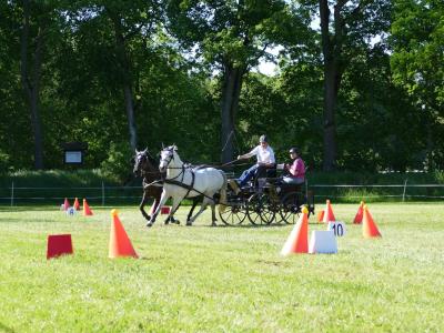 Foto des Albums: Fahrturnier Hilders 2019