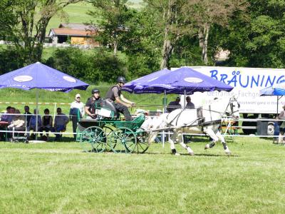 Foto des Albums: Fahrturnier Hilders 2019