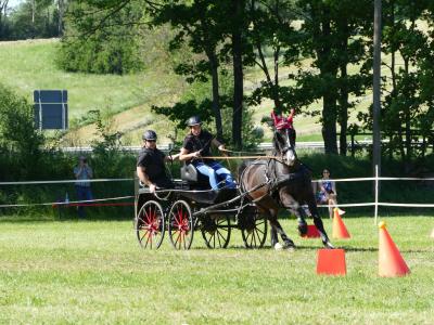 Foto des Albums: Fahrturnier Hilders 2019