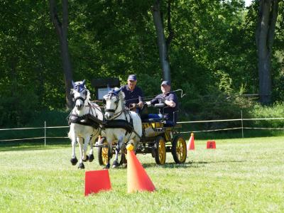 Foto des Albums: Fahrturnier Hilders 2019
