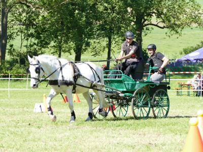 Foto des Albums: Fahrturnier Hilders 2019