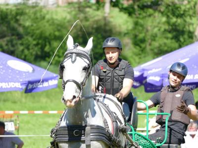 Foto des Albums: Fahrturnier Hilders 2019