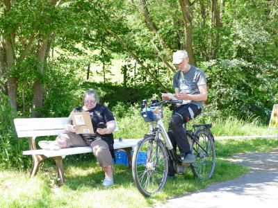 Foto des Albums: Fahrturnier Hilders 2019