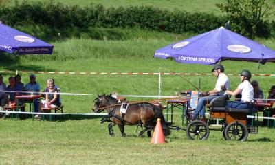 Foto des Albums: Fahrturnier Hilders 2019