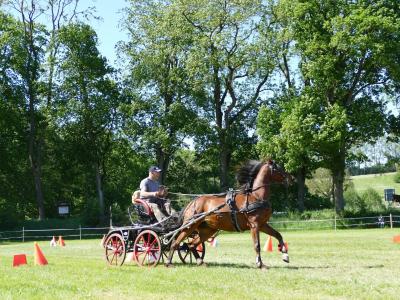 Foto des Albums: Fahrturnier Hilders 2019